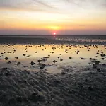 Nordsee-1 * Vollerwiek