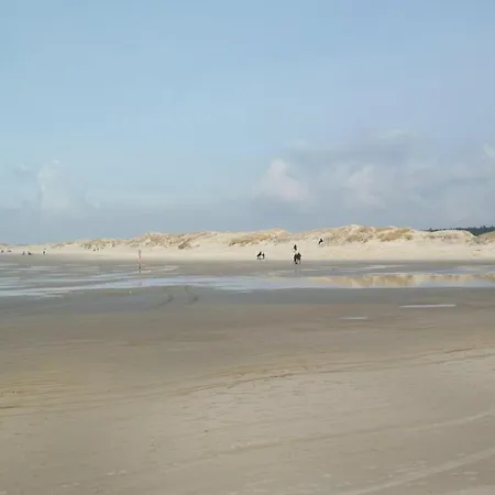 Nordsee-1 * Vollerwiek