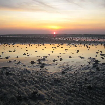 別荘 Nordsee-1 Vollerwiek