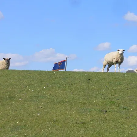 Nordsee-1 Prázdninový dům Vollerwiek